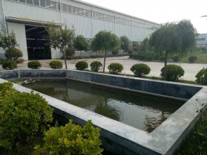 池水盈盈 